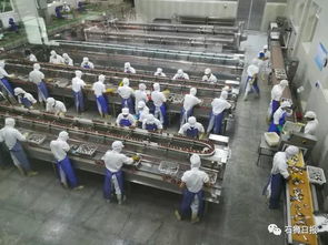 東埔村 電子產(chǎn)業(yè)微型基地的崛起與挑戰(zhàn)